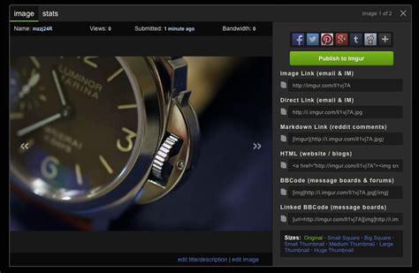 image hosting replica watch info|Pimlico's Image Hosting Guide for Imgur .